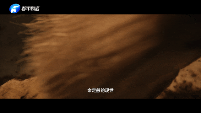 就在今晚，和奚美娟一起，追老祖先的“朋友圈”！