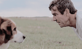 今年最奇葩的恐怖片，男主竟是一条狗！