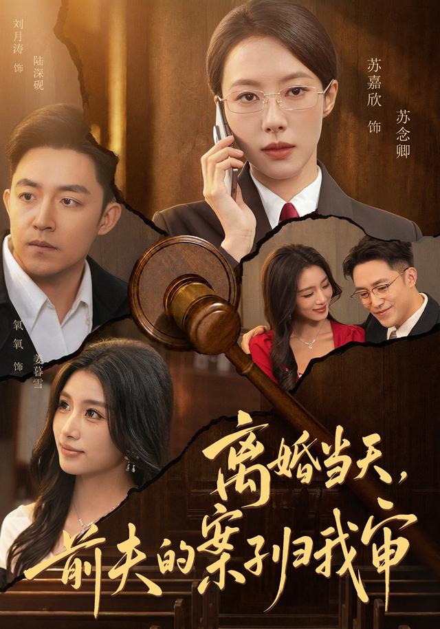 离婚当天,前夫的案子归我审